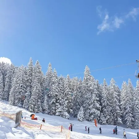 Windschnur By Piaunddirk * 메이른호픈