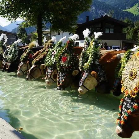 Windschnur By Piaunddirk Appartement